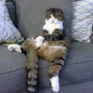 Meet your Posher, Kimber